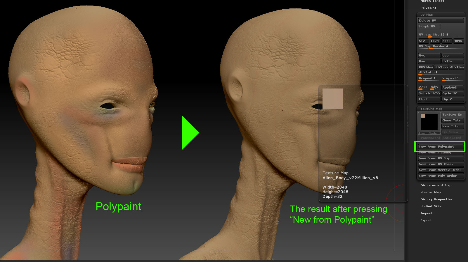 New from Polypainting Bug ? [Solved] ZBrushCentral