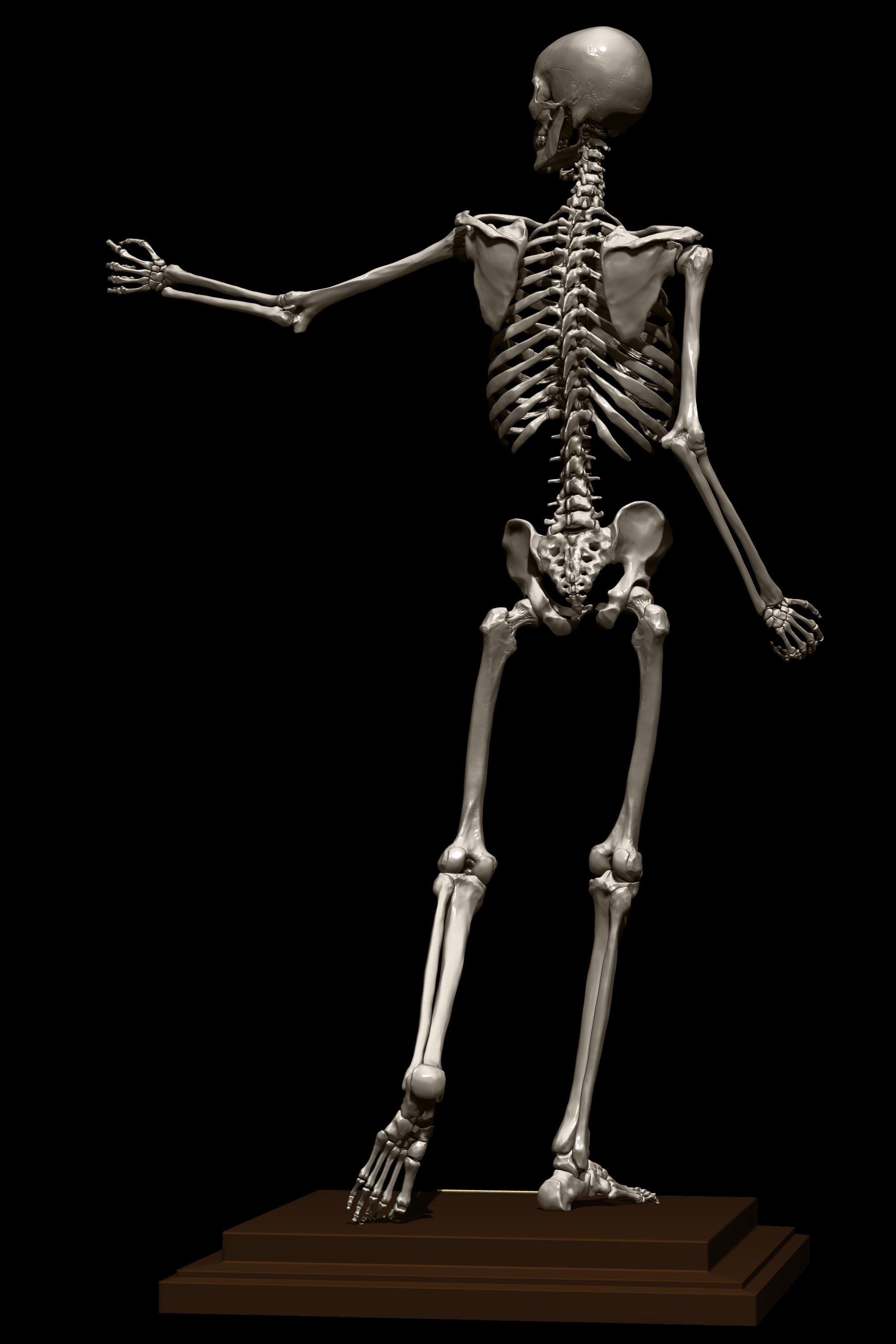 fin_02.jpg