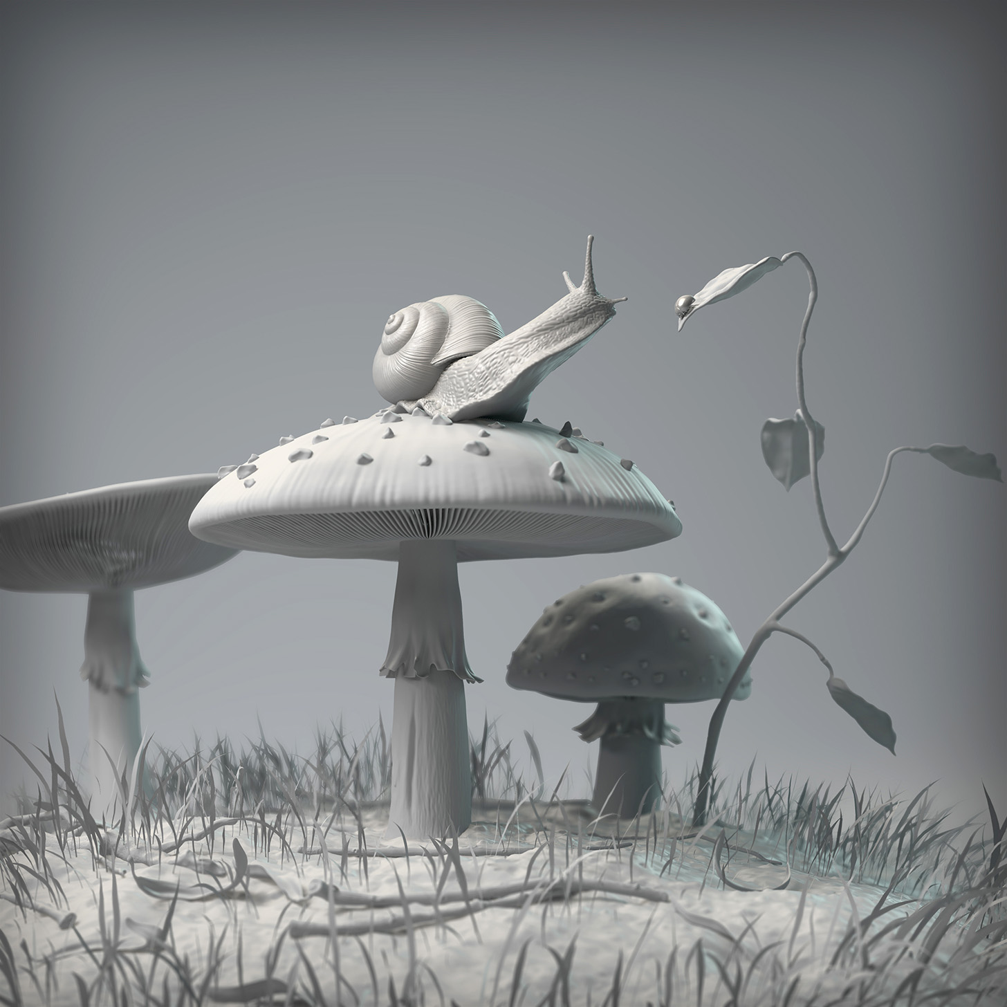 Snail_Mushroom_03.jpg