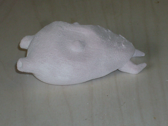 SDC12700.jpg