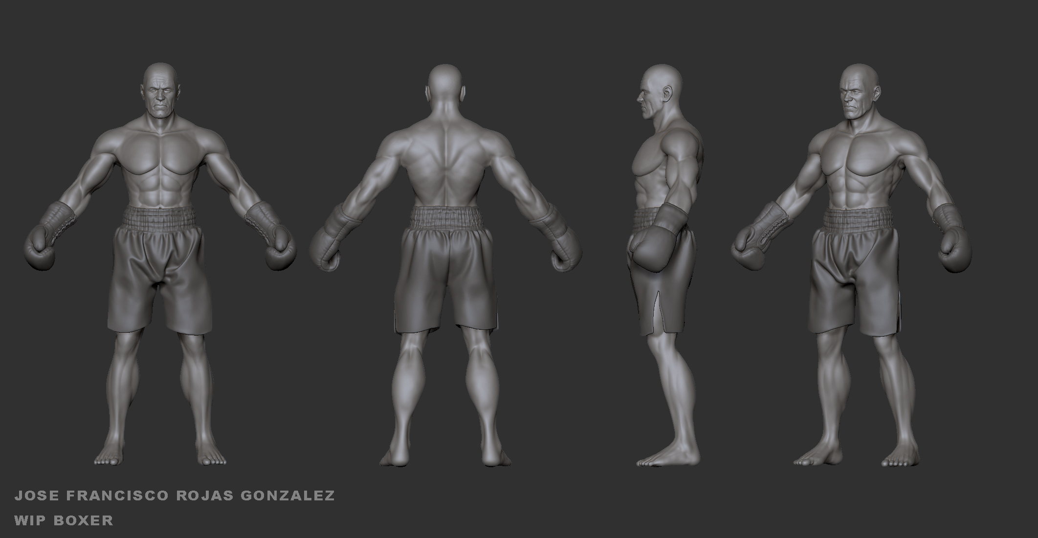 Boxer_01.jpg