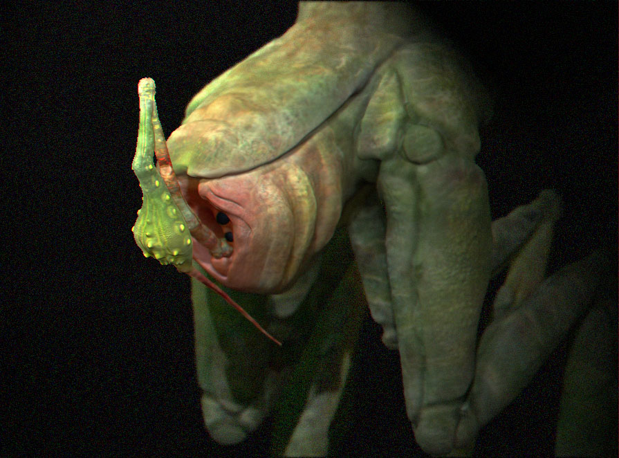 close_up.jpg