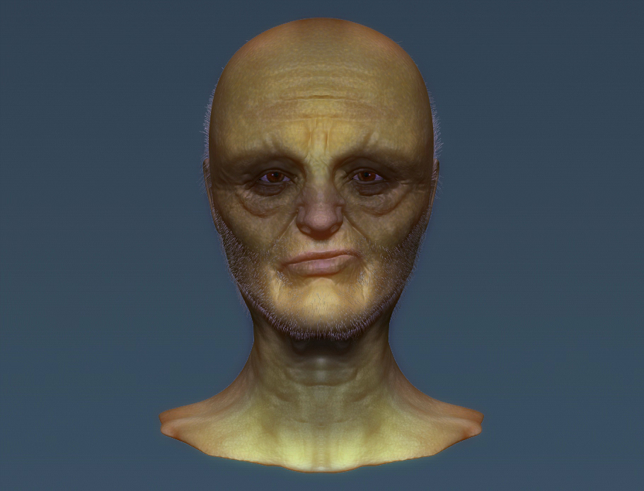 final2.jpg