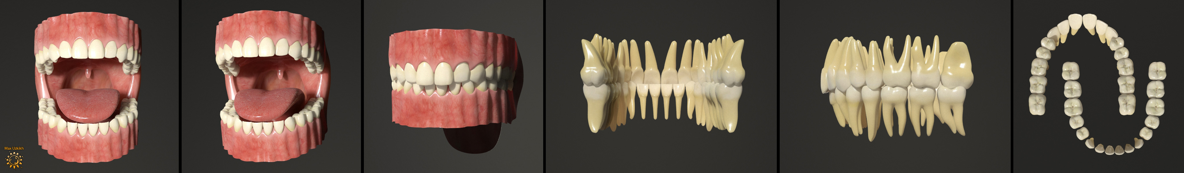 teeth_all.jpg