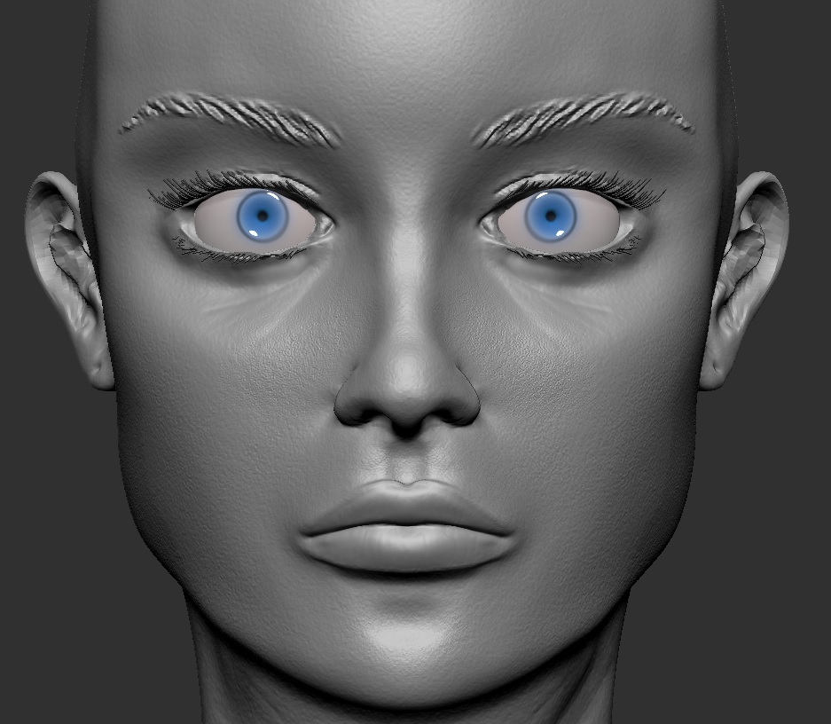 Female stage 2.5 face.jpg