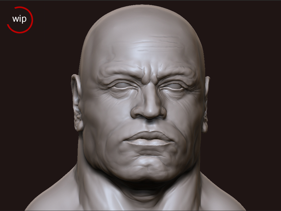 wip4.jpg