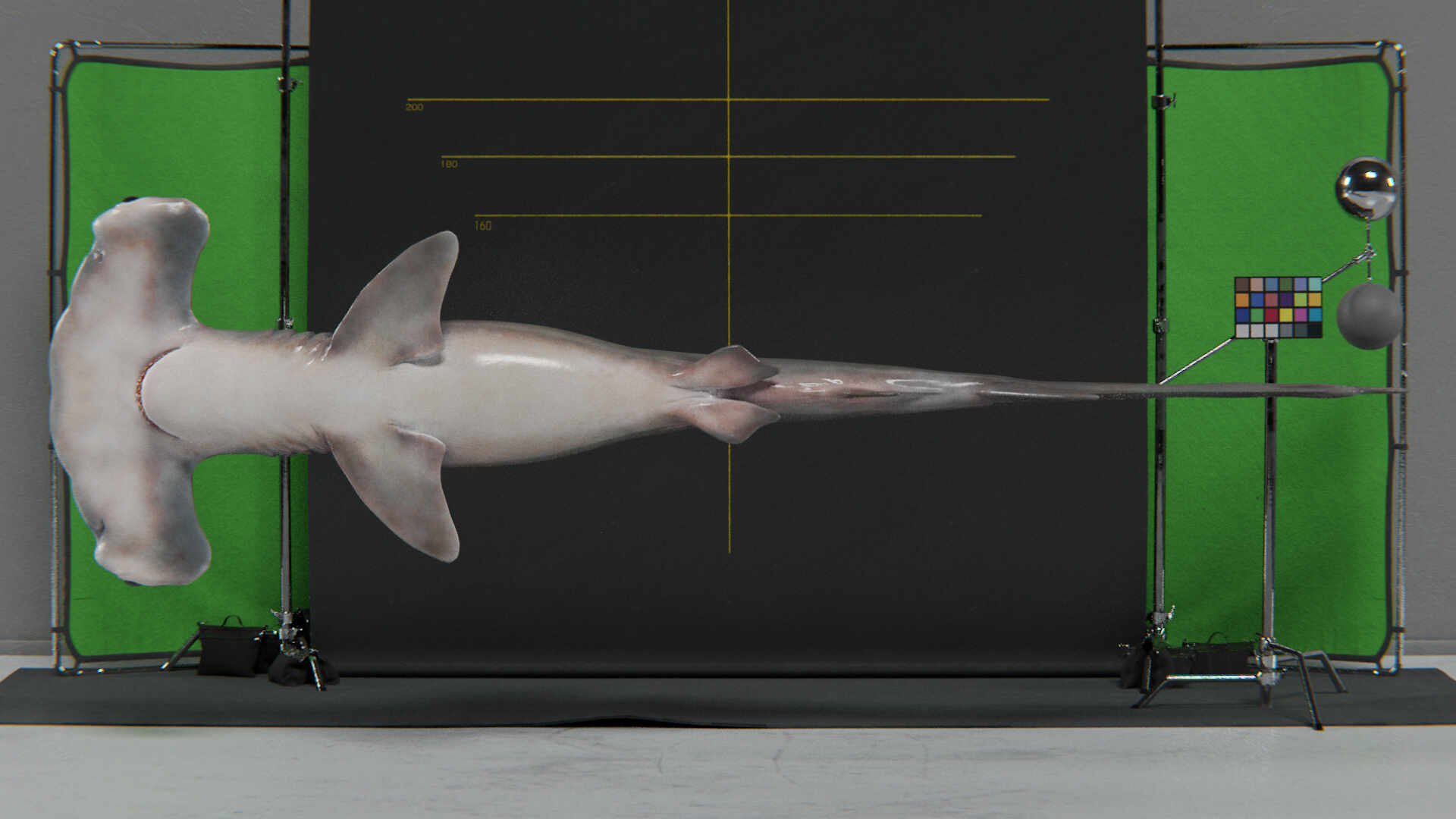 hammerhead shark - ZBrushCentral