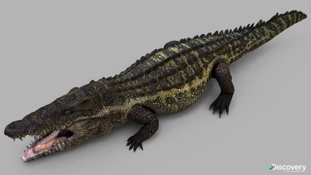 Goniopholis_model.jpg