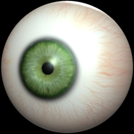 Eye.jpg