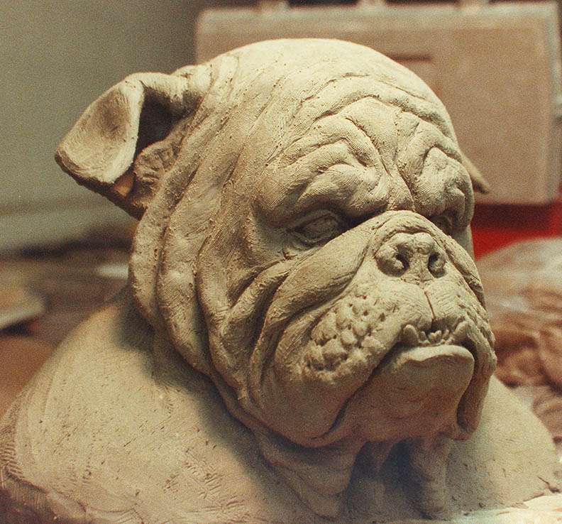 bulldogLo.jpg