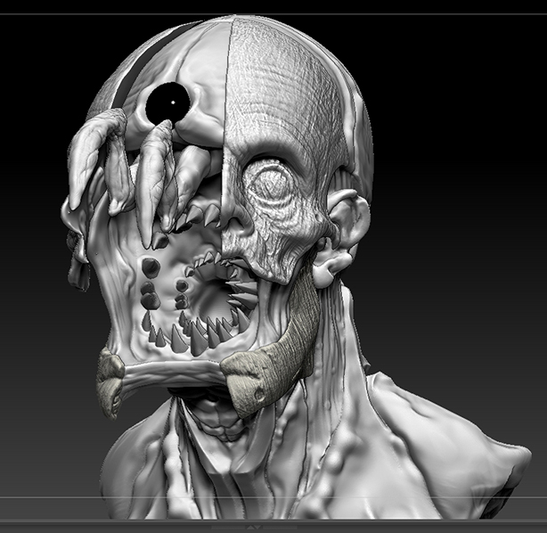ZBrush ScreenGrab_head2.jpg
