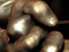 icon4.jpg
