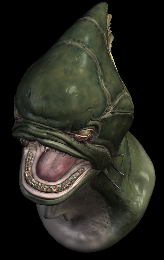 fishhead_paint_top_web.jpg