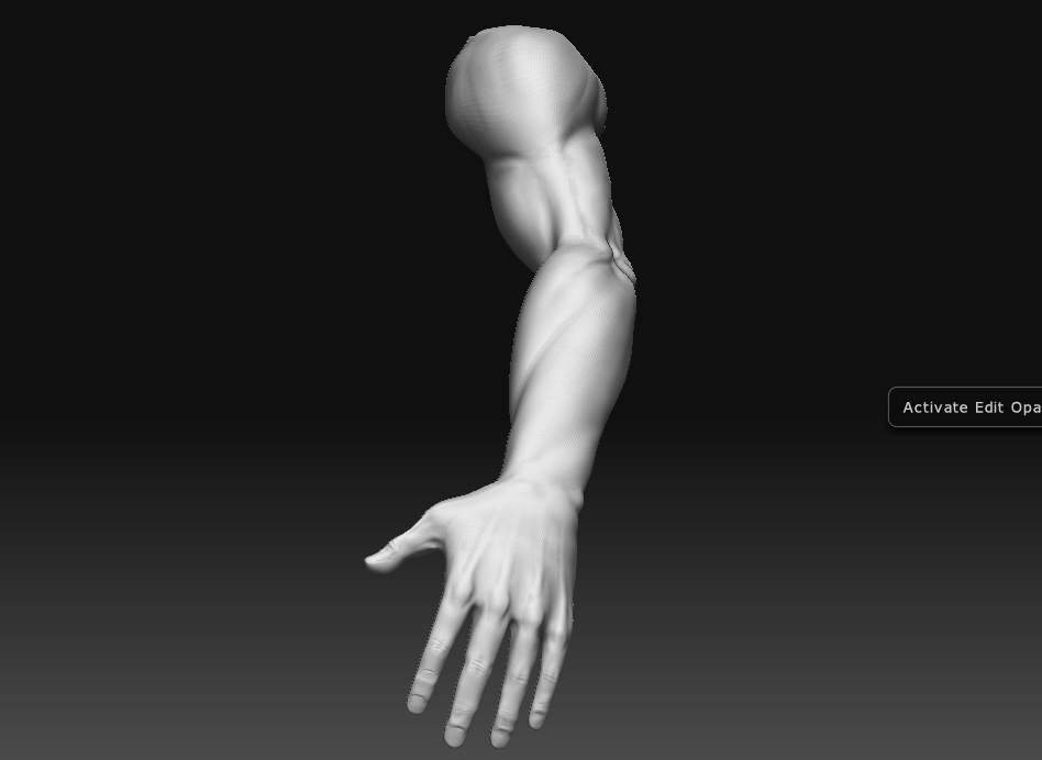 arm side.jpg