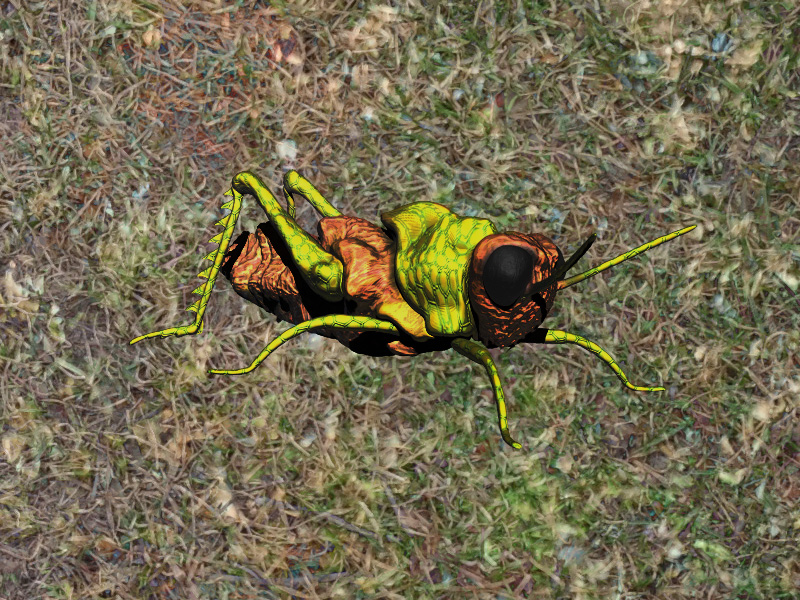 render.jpg