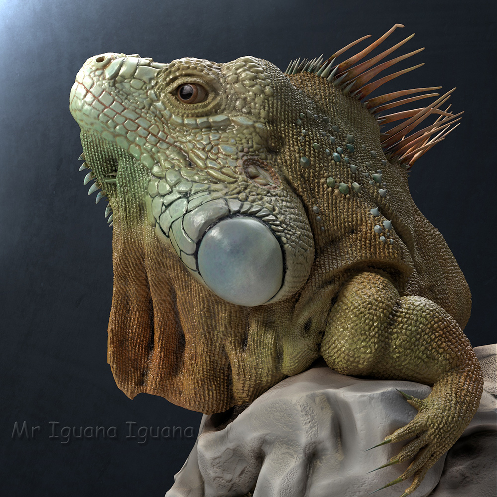 iguana_iguana_09_small.jpg