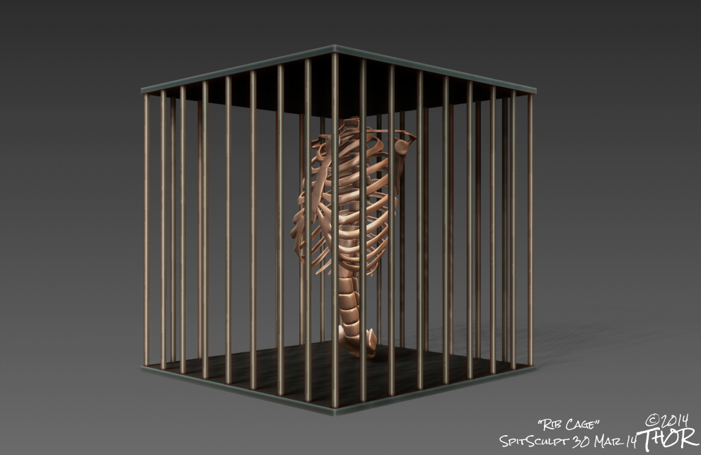 rib-cage.jpg