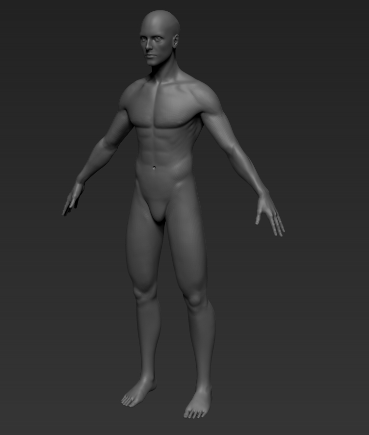 Ranger_male_WIP_001.jpg