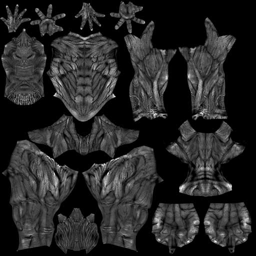 bodySpecularMap_v02.jpg
