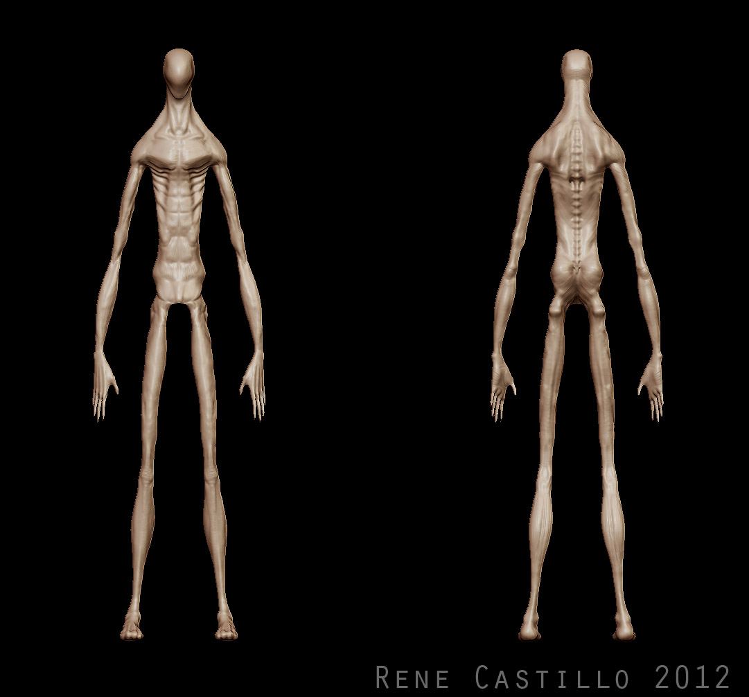 La_10 front_back.jpg