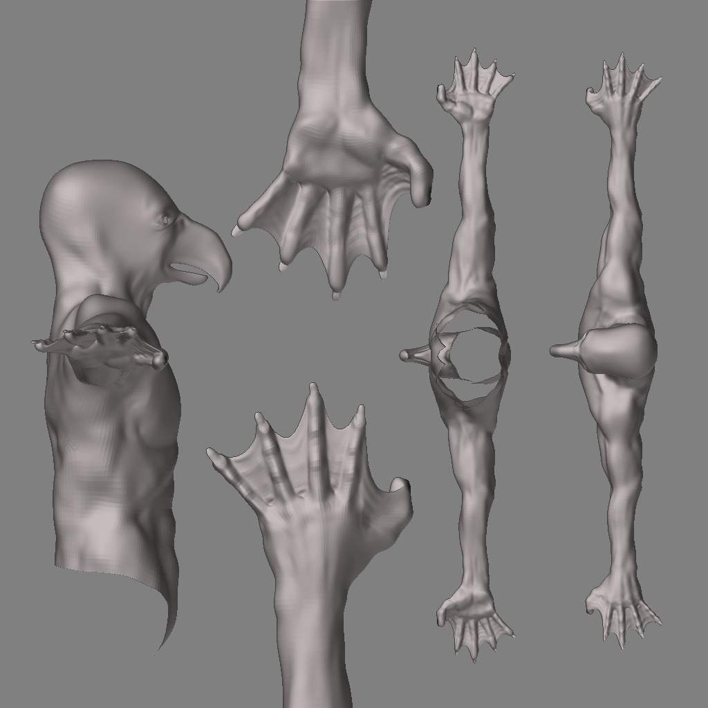 TorsoSculpt07.jpg