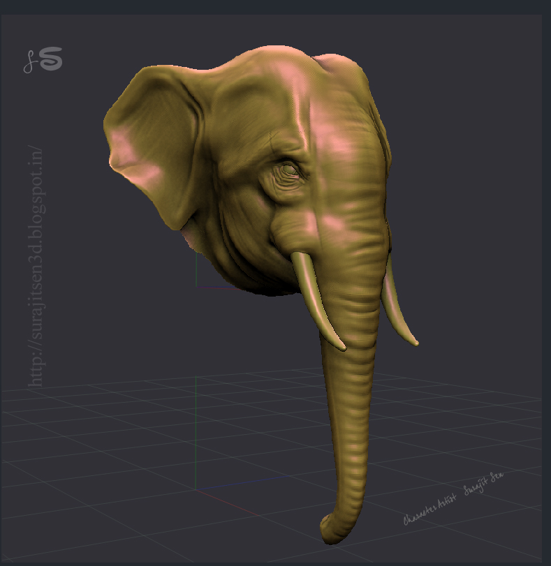 ANATOMY_R&D_SurajitSen_Asian_elephant_27022017_01.JPG