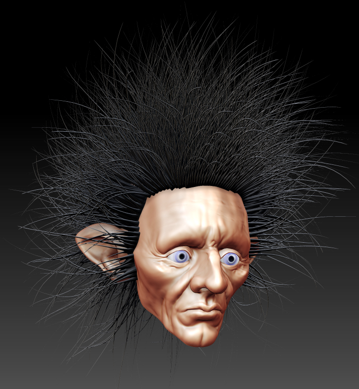 hair.jpg