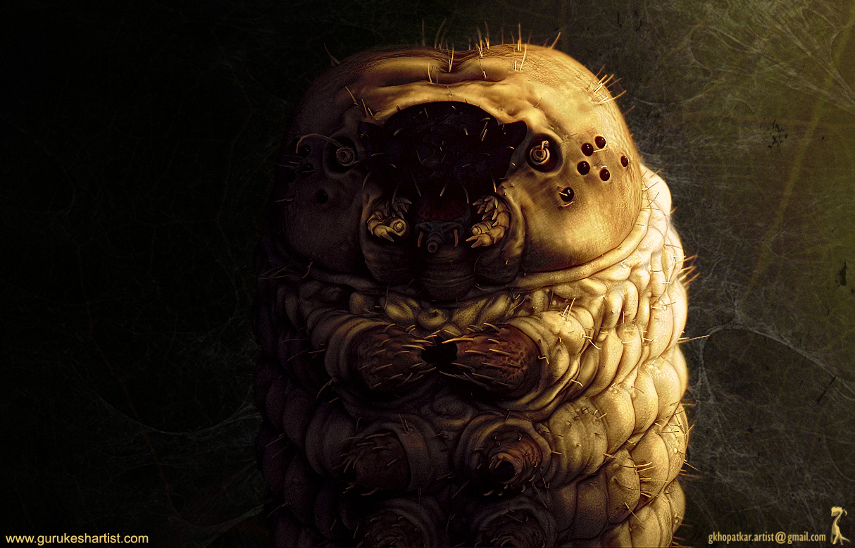 Silkworm.jpg