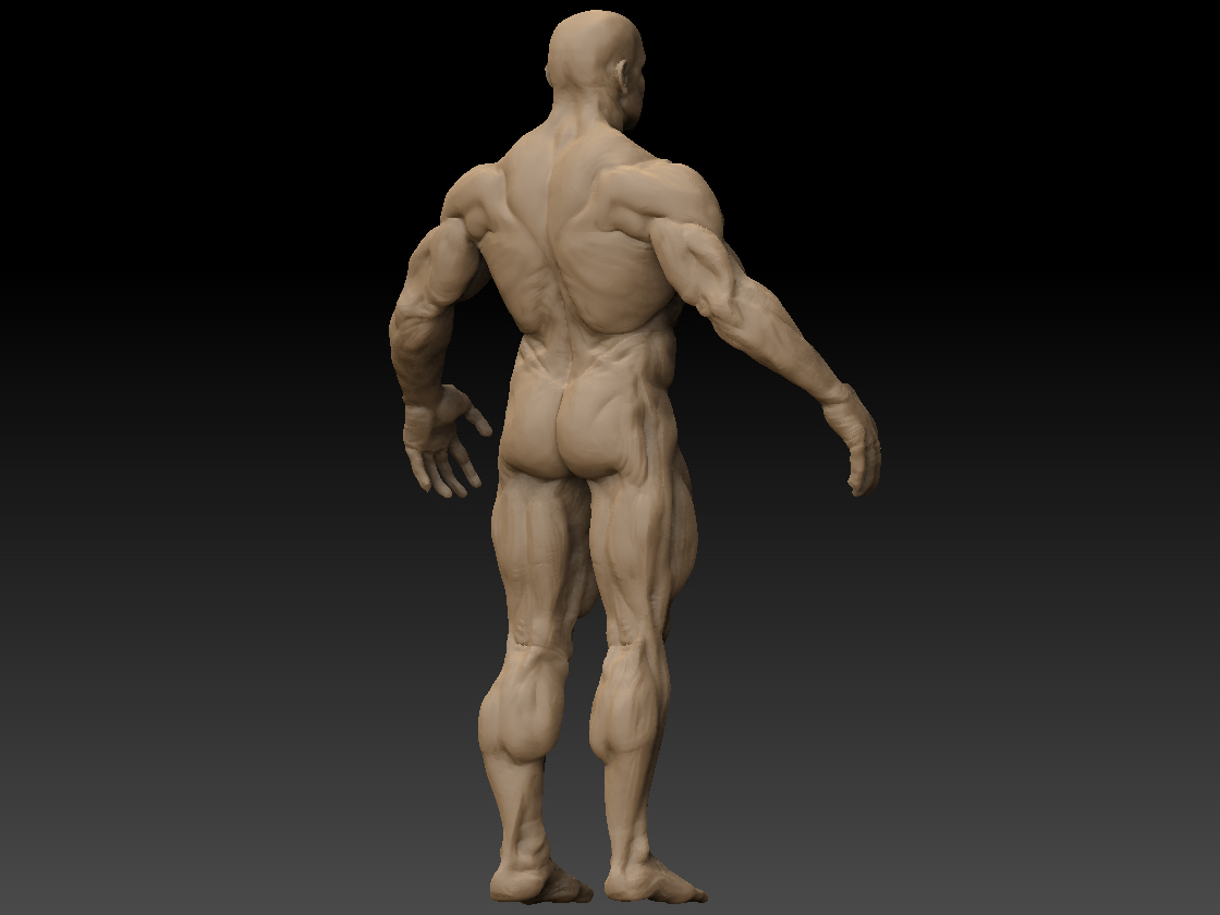 05_Back.jpg
