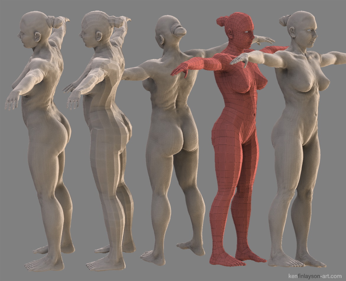 Anatomical_woman_grey_sml.jpg
