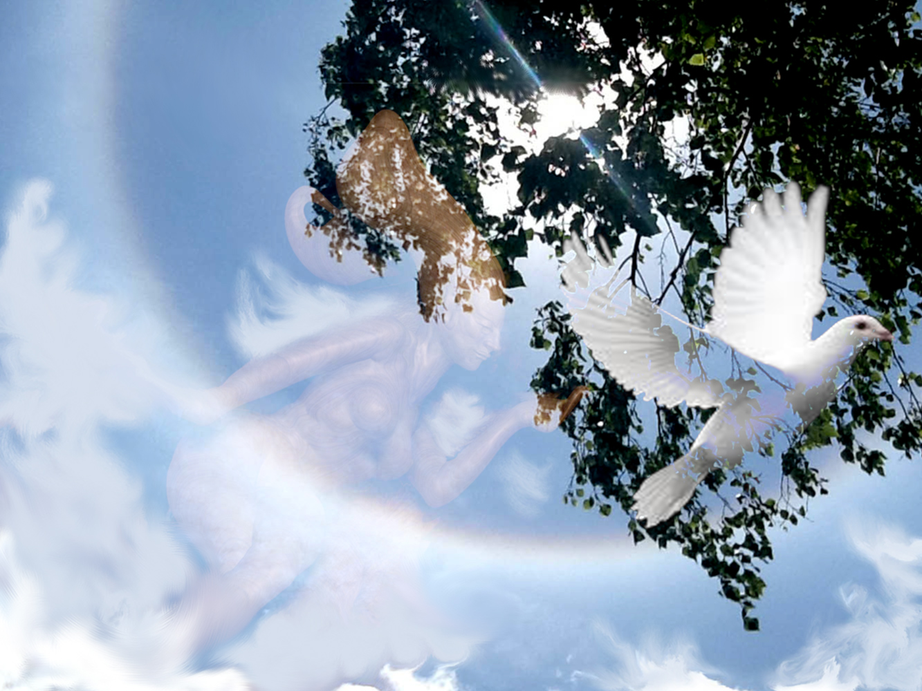 SUN-HALO-3.jpg