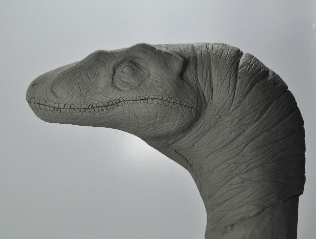 rapto3.jpg