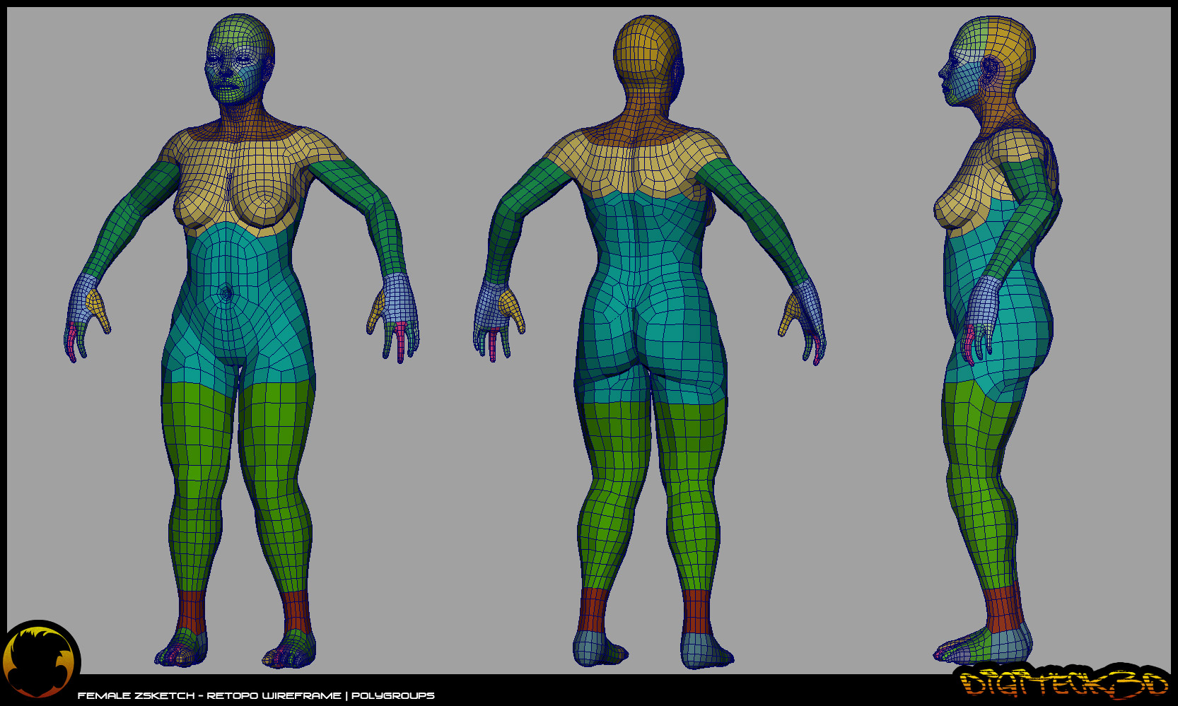 femaleStudy_WireRetopo01.jpg