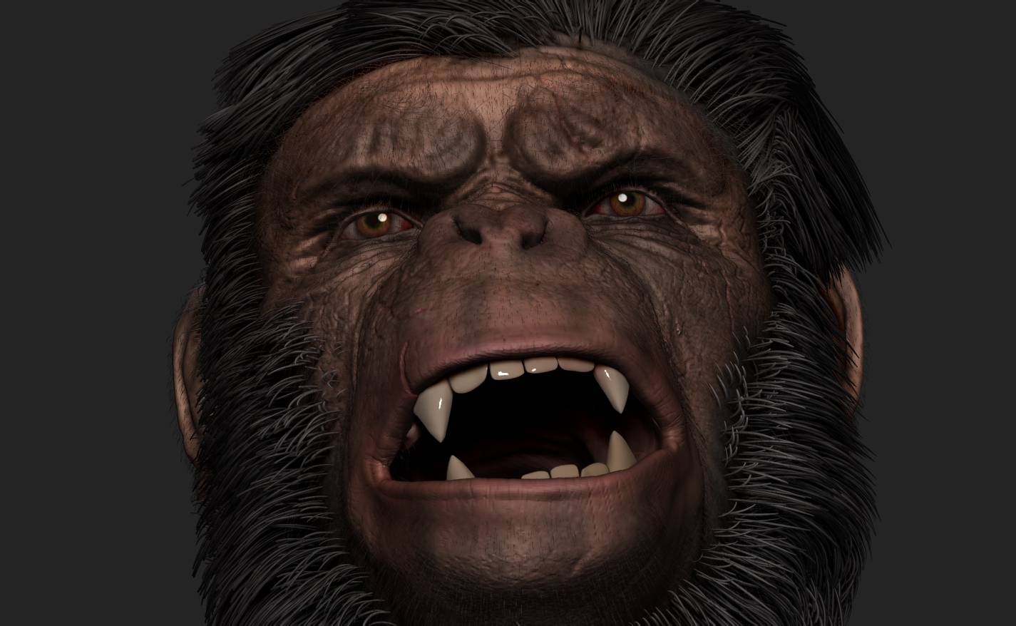 Ape_6.jpg