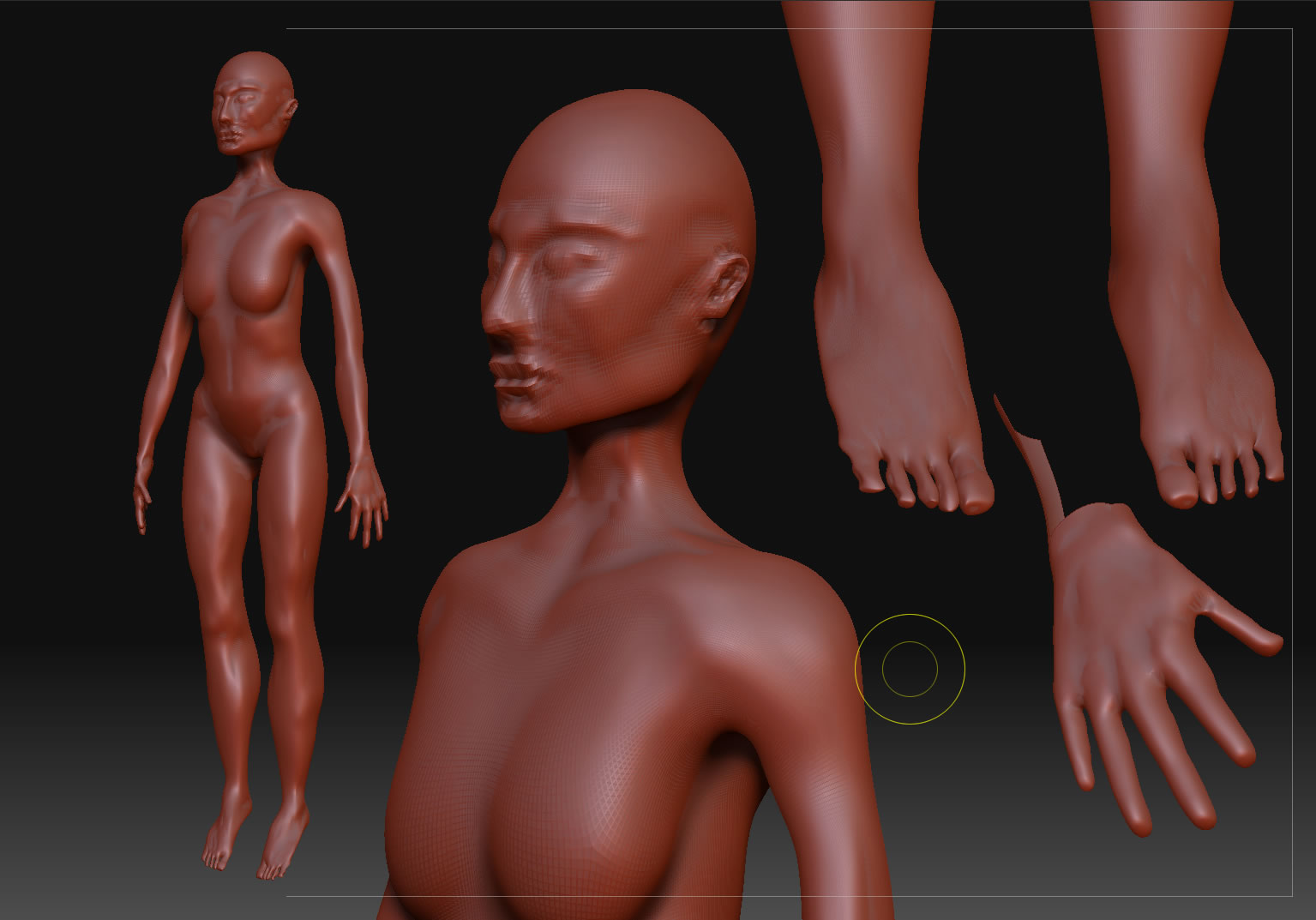 my_model.jpg