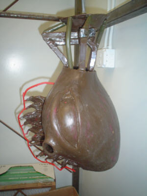 musg08.jpg