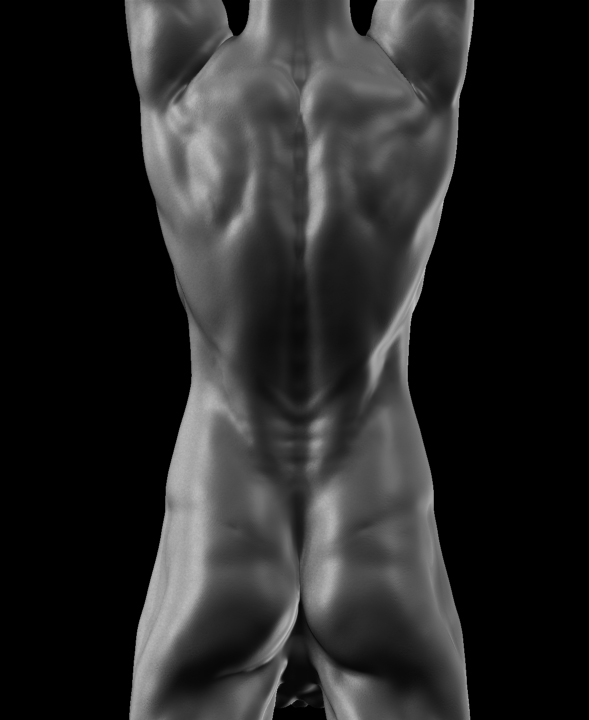 Male-Torso-03.jpg