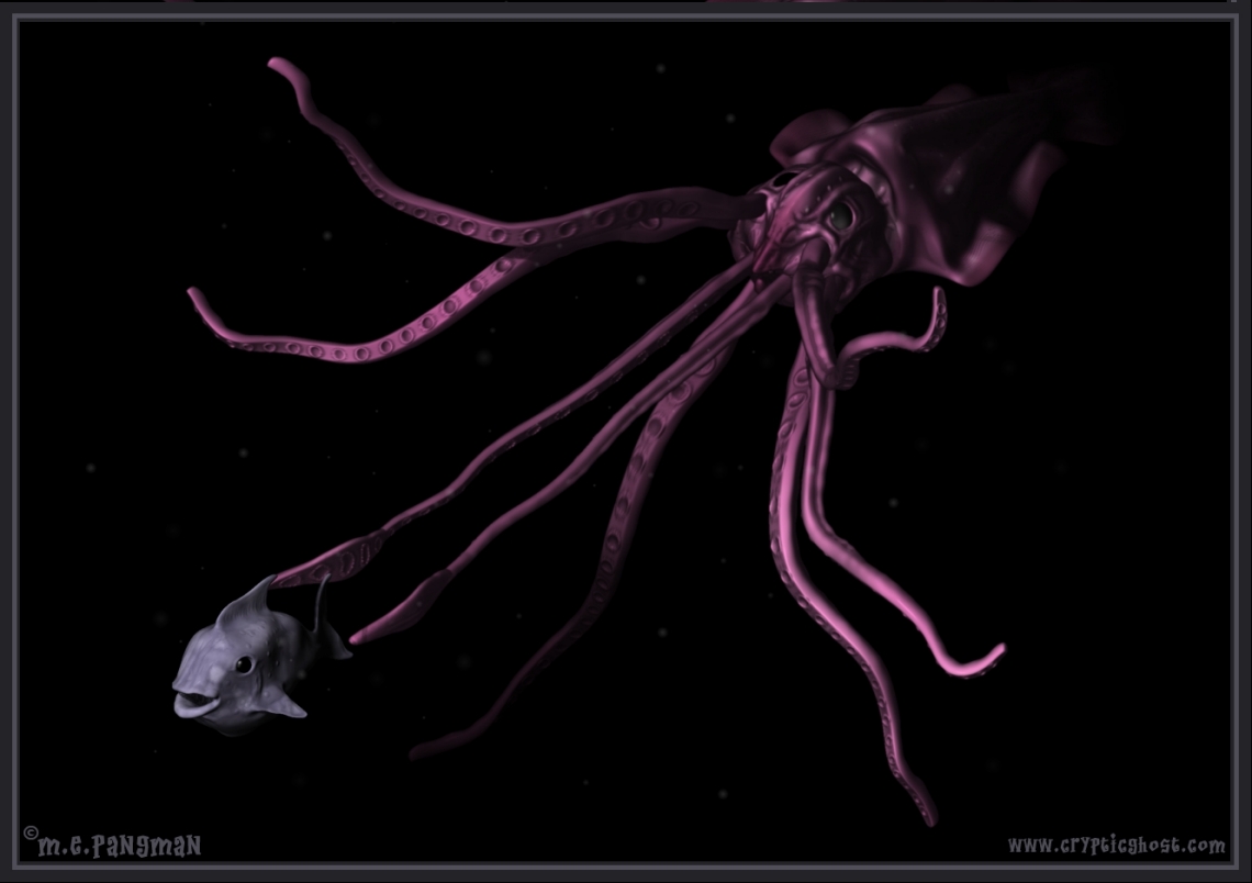 squidage7.jpg