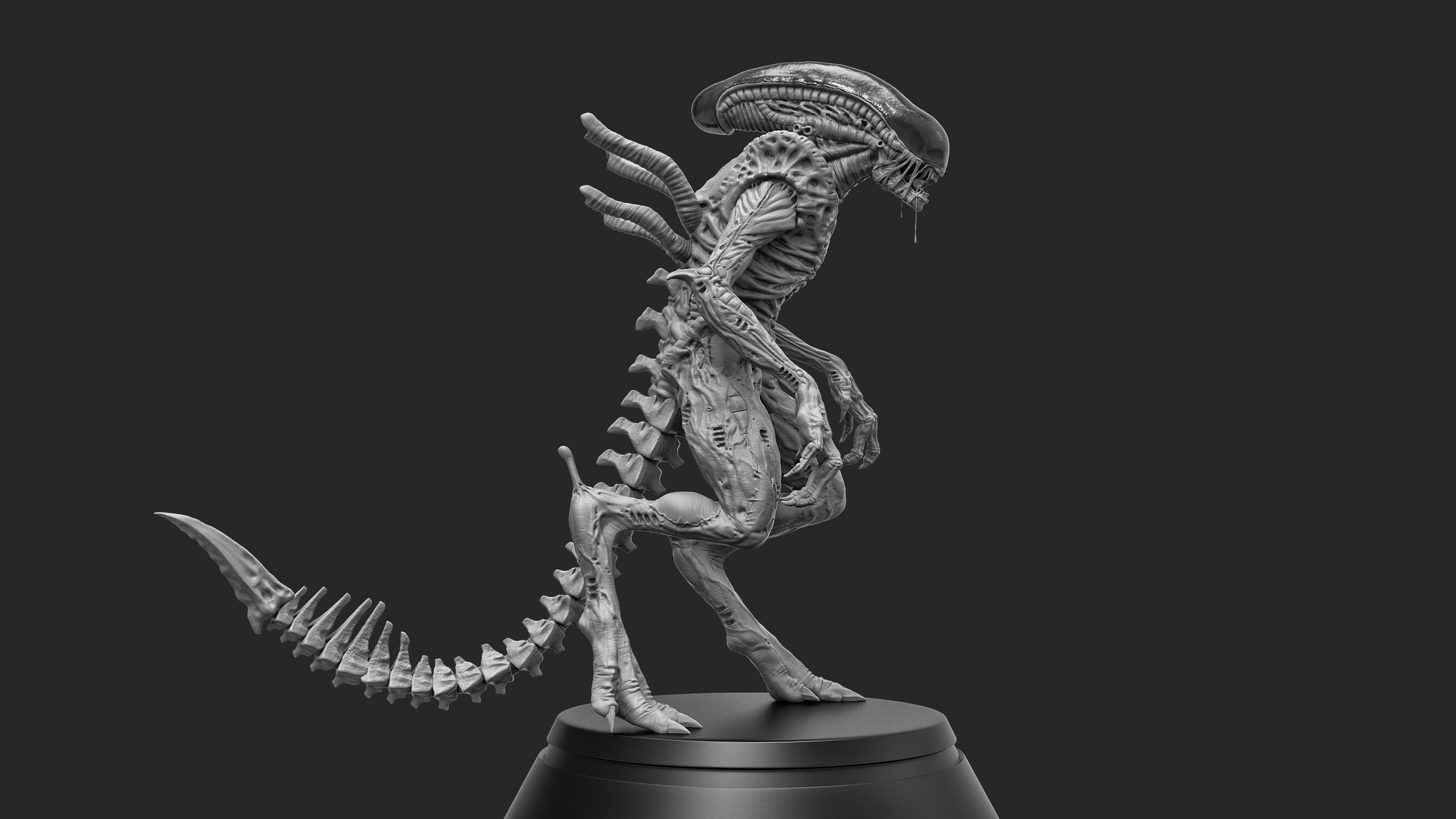 xeno24.jpg