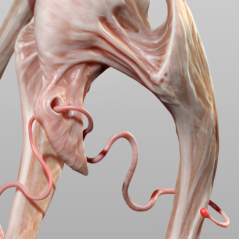 nightmare of the tongue demon DETAIL A.jpg