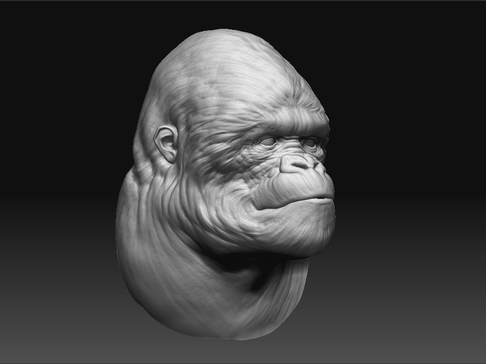 gorilla_C.jpg