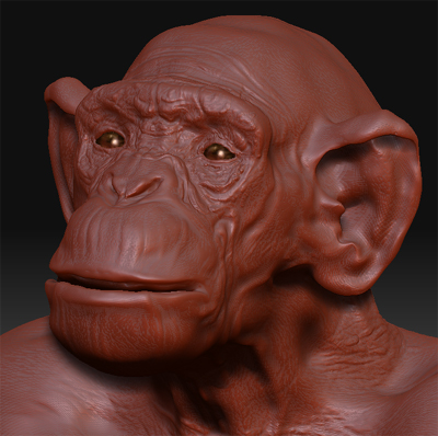 Ape18.jpg