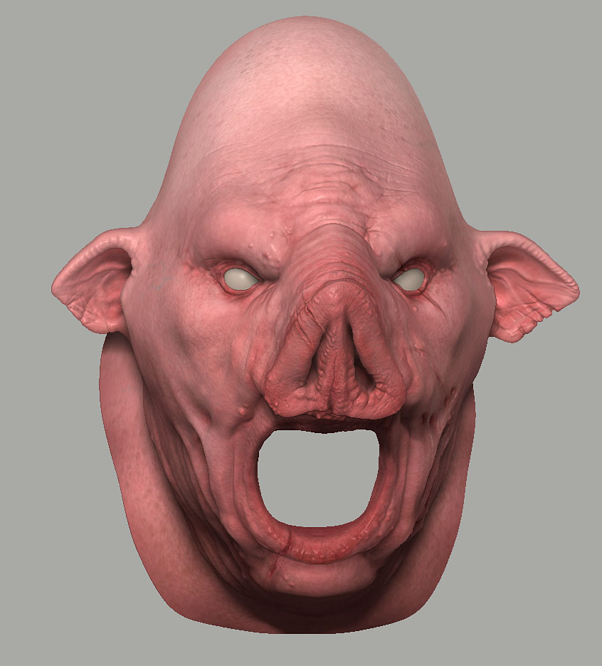 pig_01.jpg