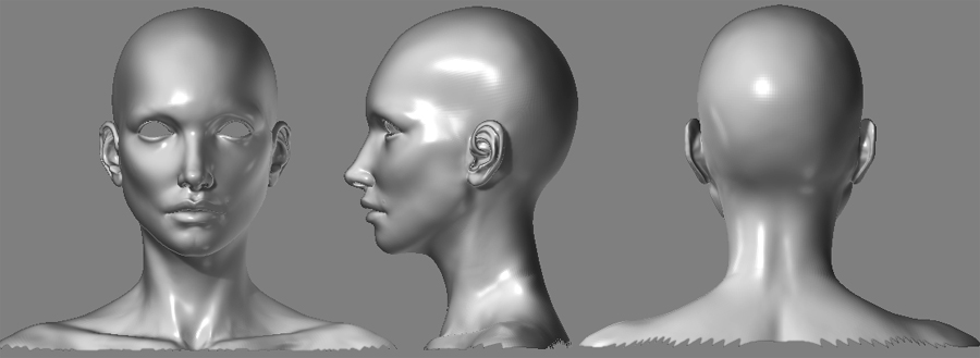 FEMALE HEAD1.jpg