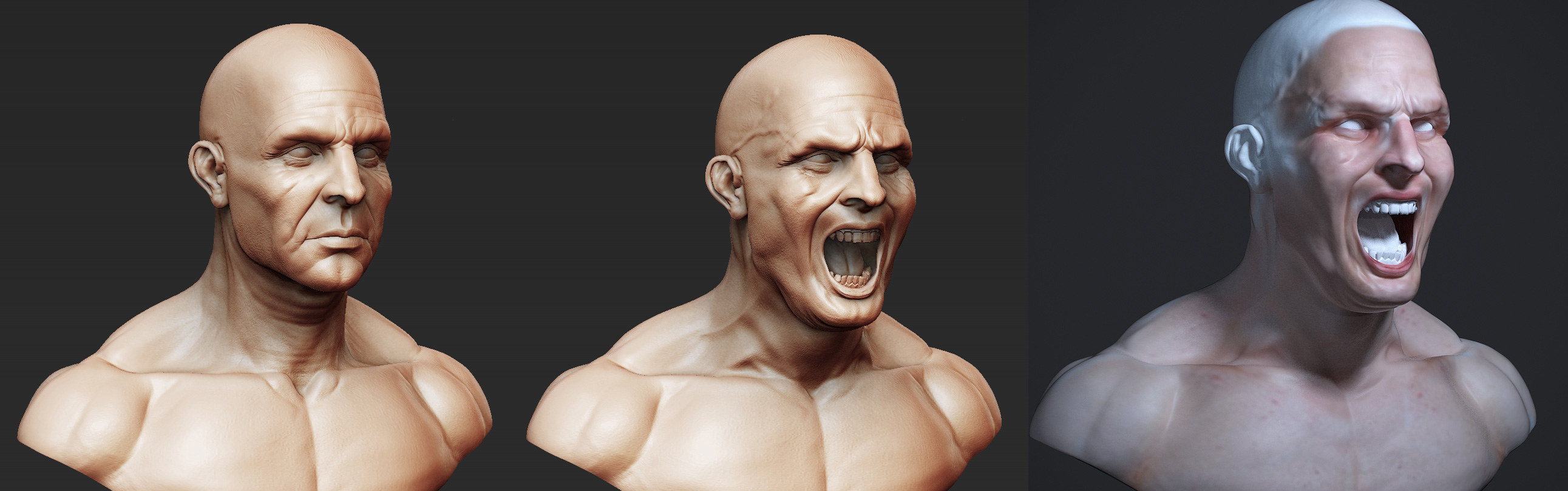 face-morph2.jpg