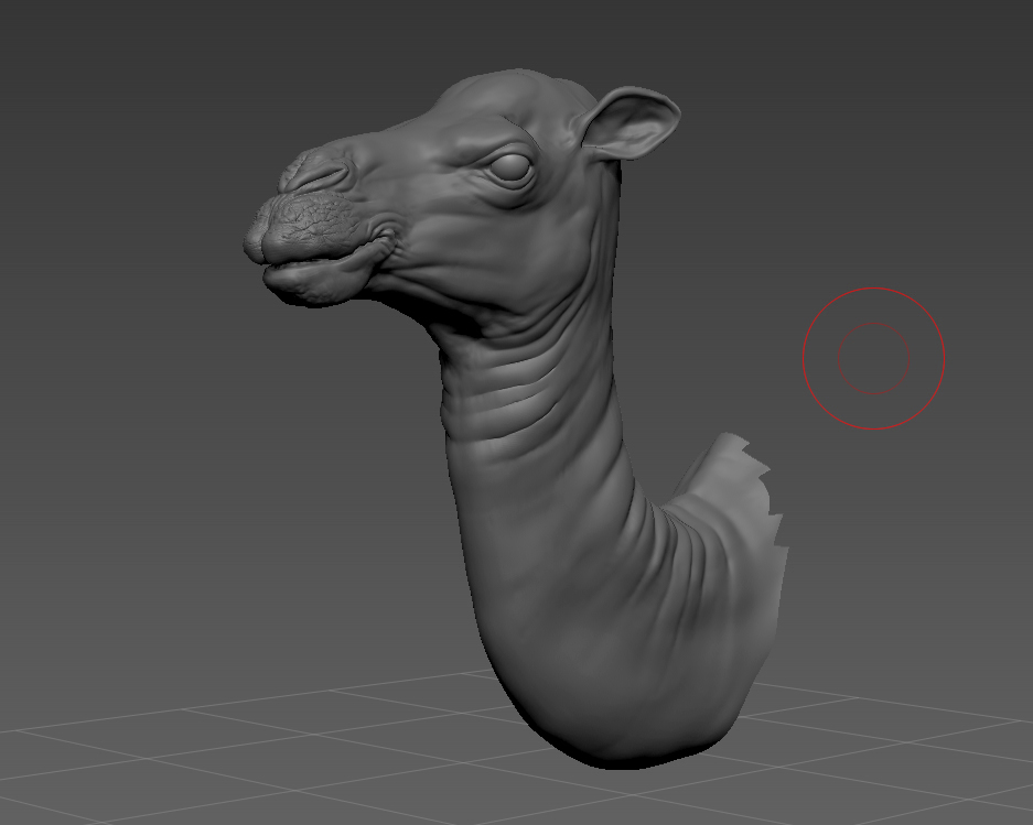 camel_shaded_headweb.jpg