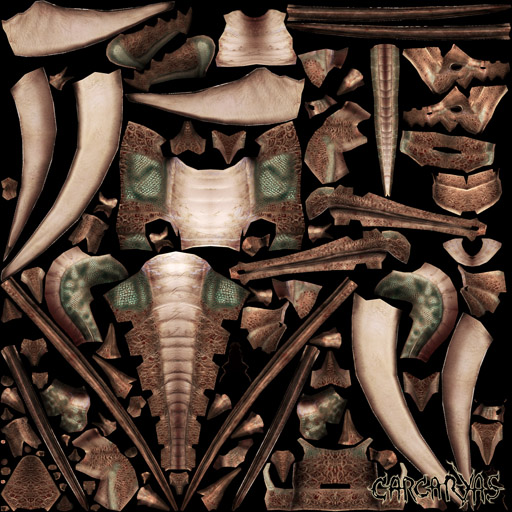 diffucorps_carcaryas.jpg