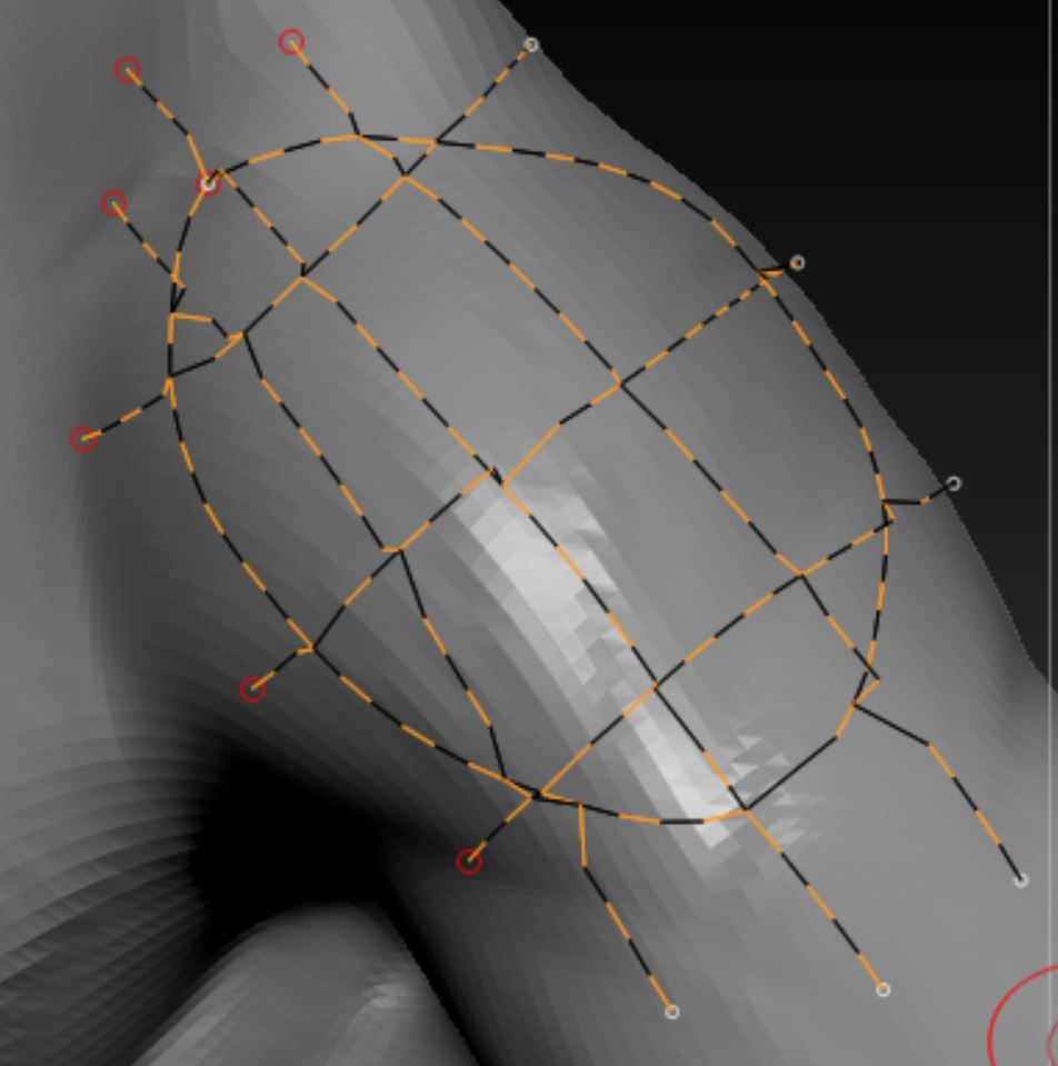 zbrush 2018 topology brush