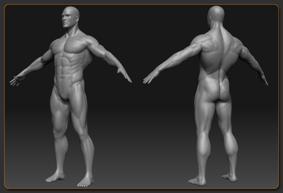 humanMaleAthletic_WIP_005.jpg
