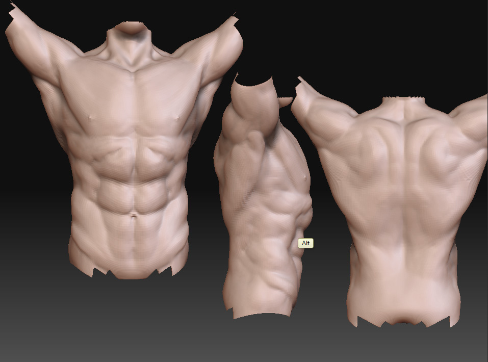 torso_cara.jpg